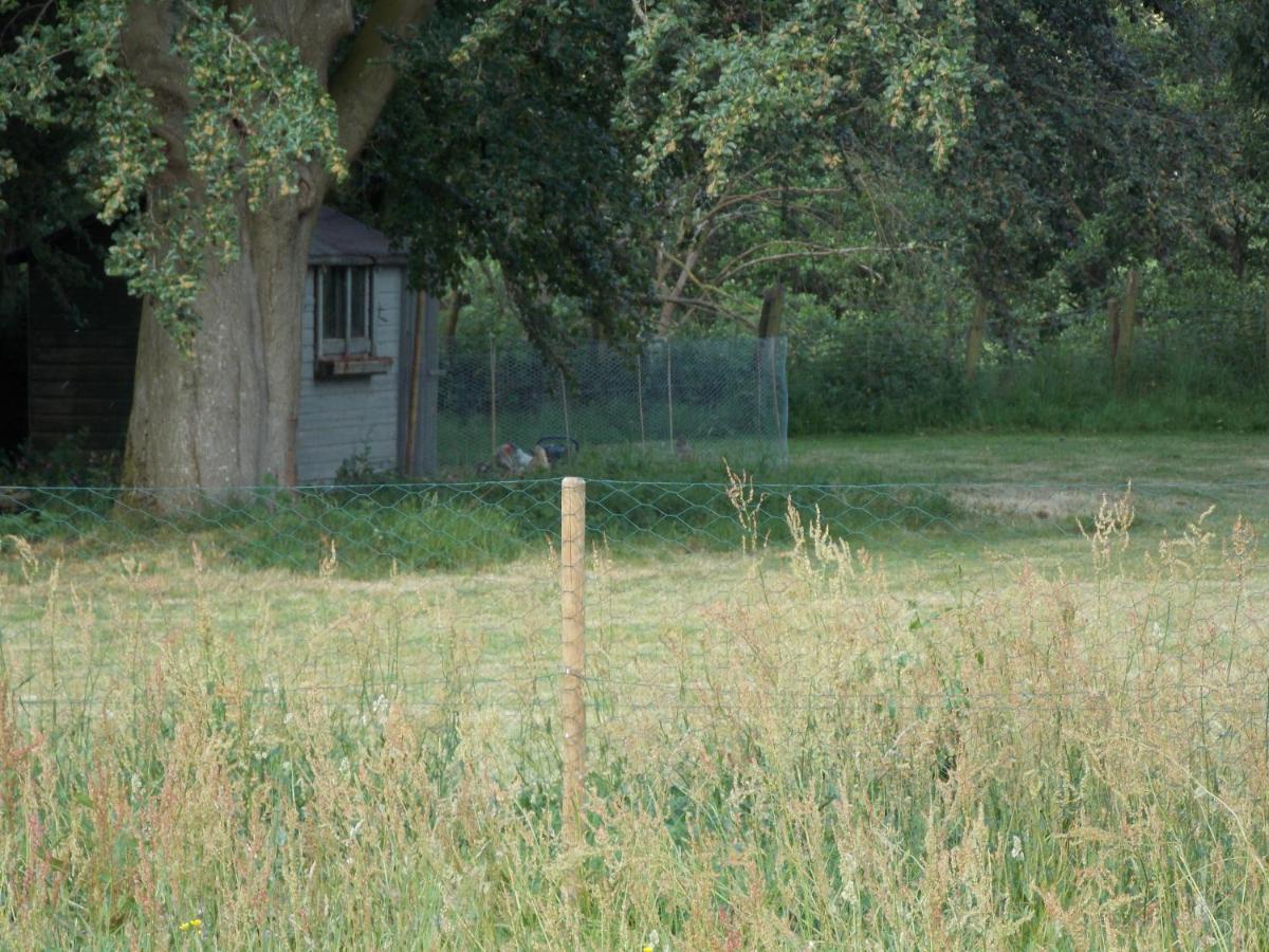 Hope Cottage Bell Tent Retreat 阿什伯恩 外观 照片