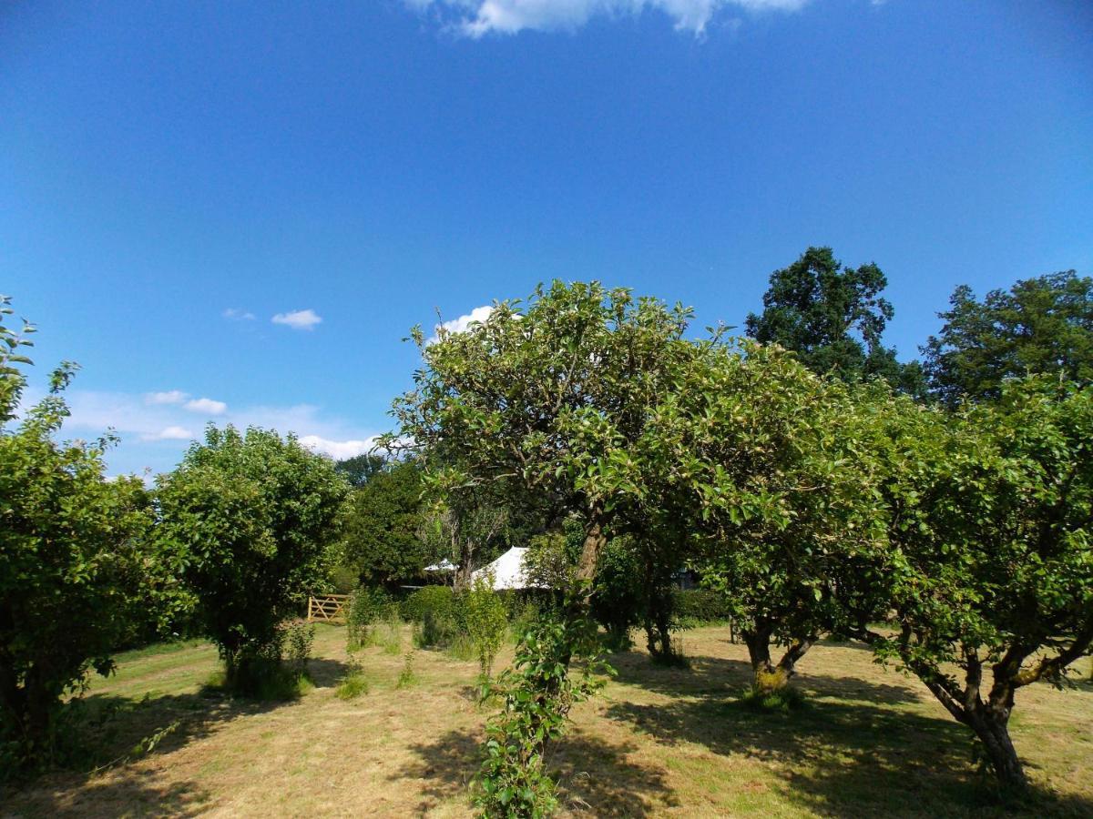 Hope Cottage Bell Tent Retreat 阿什伯恩 外观 照片
